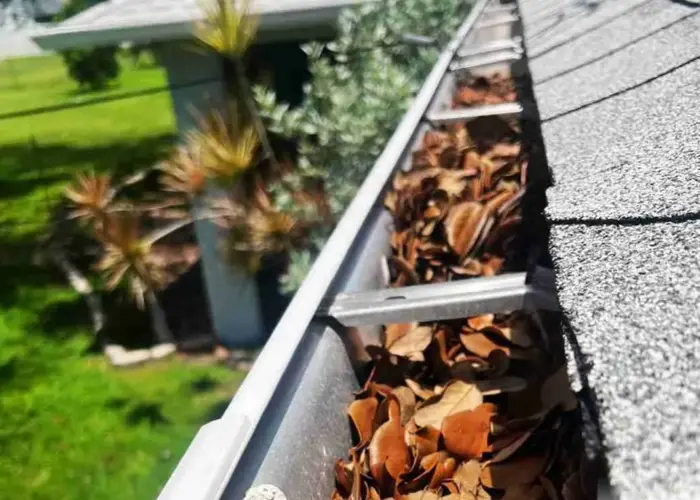 Bethel Park gutter cleaning home page
